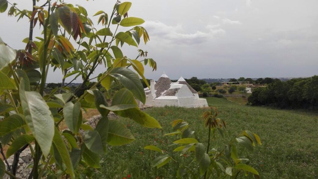 Borgo Trulli 1789 Bed & Breakfast Ostuni Ngoại thất bức ảnh
