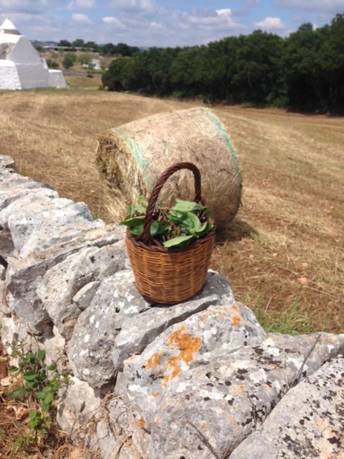 Borgo Trulli 1789 Bed & Breakfast Ostuni Ngoại thất bức ảnh