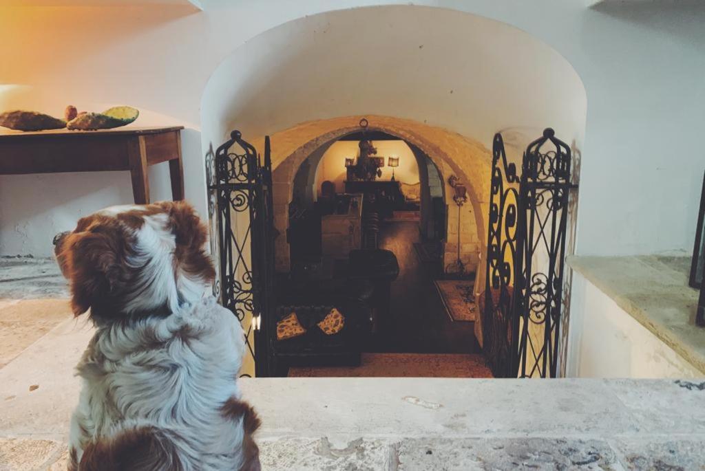 Borgo Trulli 1789 Bed & Breakfast Ostuni Ngoại thất bức ảnh